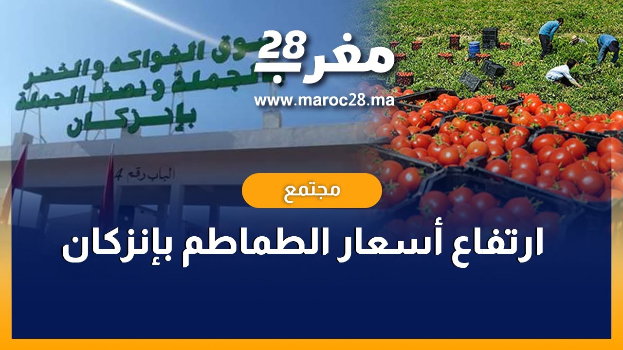هذه حقيقة ارتفاع أسعار الطماطم بسوق الجملة بإنزكان