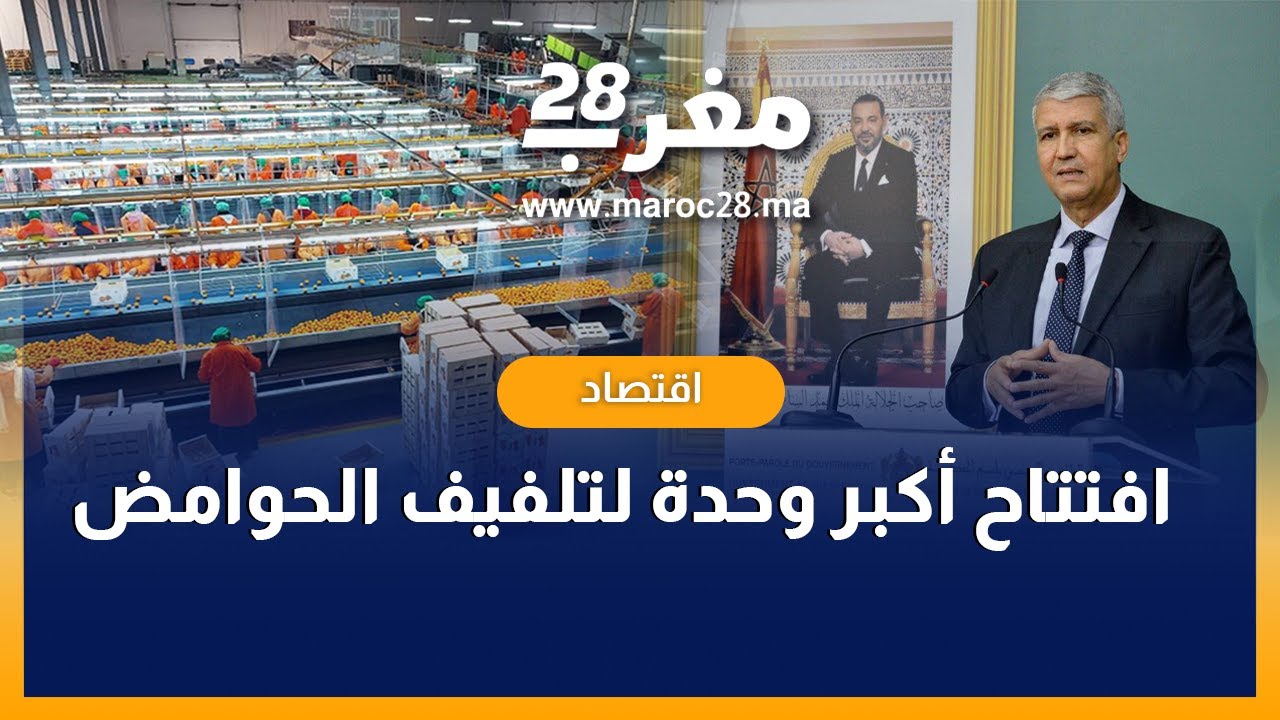 #COPAG لحظات افتتاح أكبر وحدة لتلفيف الحوامض تابعة للتعاونية الفلاحية #كوباك