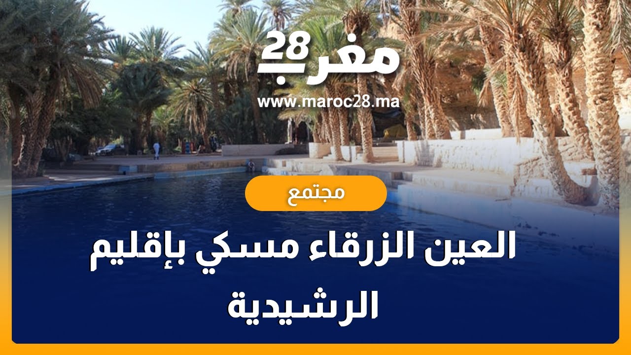 العين الزرقاء مسكي تصارع من أجل البقاء