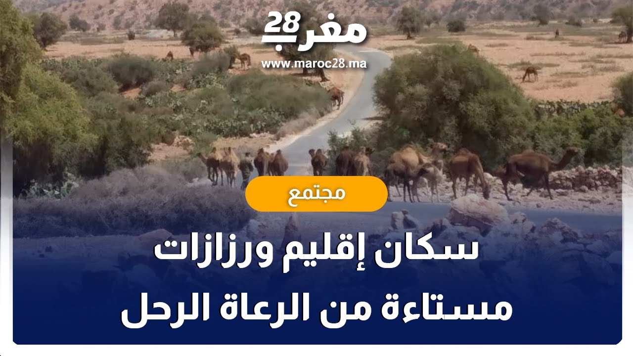 ساكنة دواوير إقليم ورزازات مستاءة من الرعاة الرحل