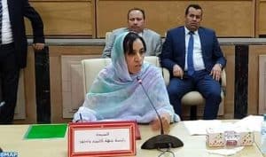 بوعيدة تظفر برئاسة جهة كلميم واد نون