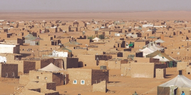 ديبلوماسي بيروفي ينتقد عودة العلاقات بين بلاده والبوليساريو