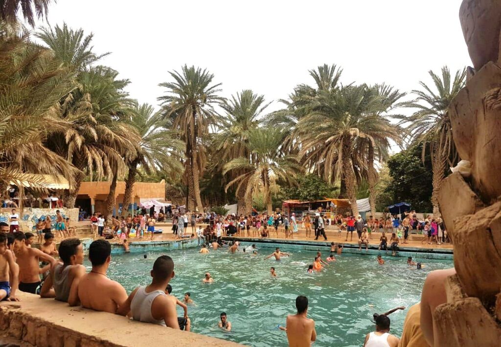 العين الزرقاء مسكي تصارع من أجل البقاء