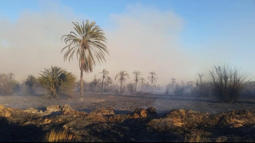 حريق يشب بواحة دوملت نواحي أكادير