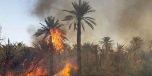 حريق يشب بواحة دوملت نواحي أكادير