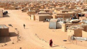أكاديمي إيطالي: مخيمات تندوف تشكل تهديدا لاستقرار منطقة الساحل والصحراء