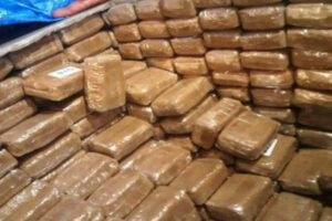 البيضاء... حجز 8أطنان و990 كيلوغرام من مخدر الشيرا في محاولة للتهريب الدولي
