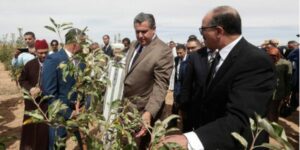 أخنوش:مخطط المغرب الأخضر أتاح 342.000 منصب شغل إضافي