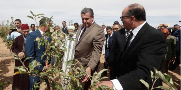 أخنوش:مخطط المغرب الأخضر أتاح 342.000 منصب شغل إضافي