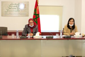 المجلس الاقتصادي يوصي بتجنب تعدد الوسطاء لتحسين تسويق المنتوجات الفلاحية