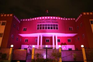 المجلس القومى للمرأة يضيء مقره بمناسبة اليوم العالمى لمناهضة العنف ضد المرأة