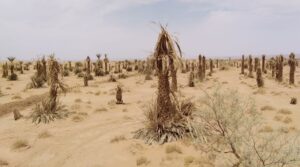تفاصيل البرنامج الاستثنائي لمواجهة الجفاف وندرة المياه بالمغرب