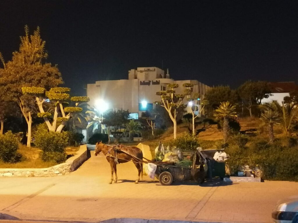 جماعة بركان تصادق على قرار منع مرور العربات المجرورة بالمجال الحضري