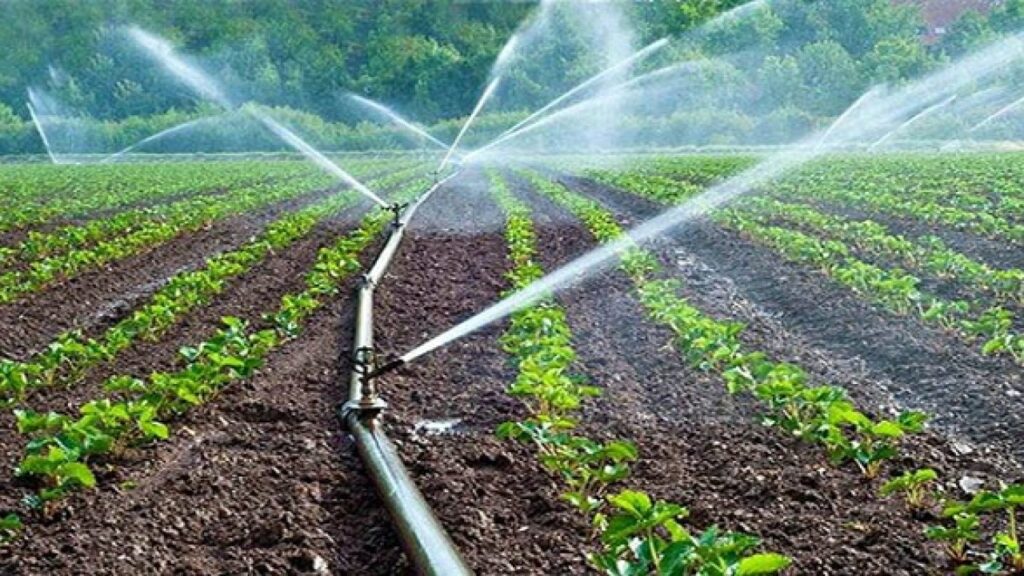 خبير مغربي تدبير مجال المياه المخصصة للفلاحة يستوجب إدخال تكنولوجيات جديدة