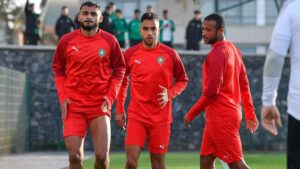 محمد الشيبي ينتقل للعب بالدوري المصري