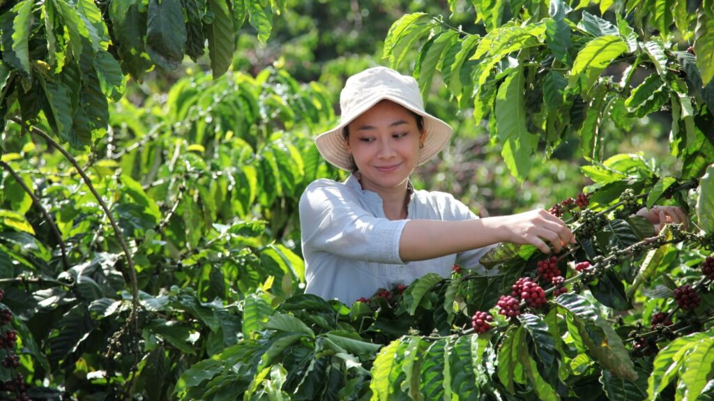 نستليه تدعم الزراعة التجديدية بإطلاق خطة نسكافيه 2030