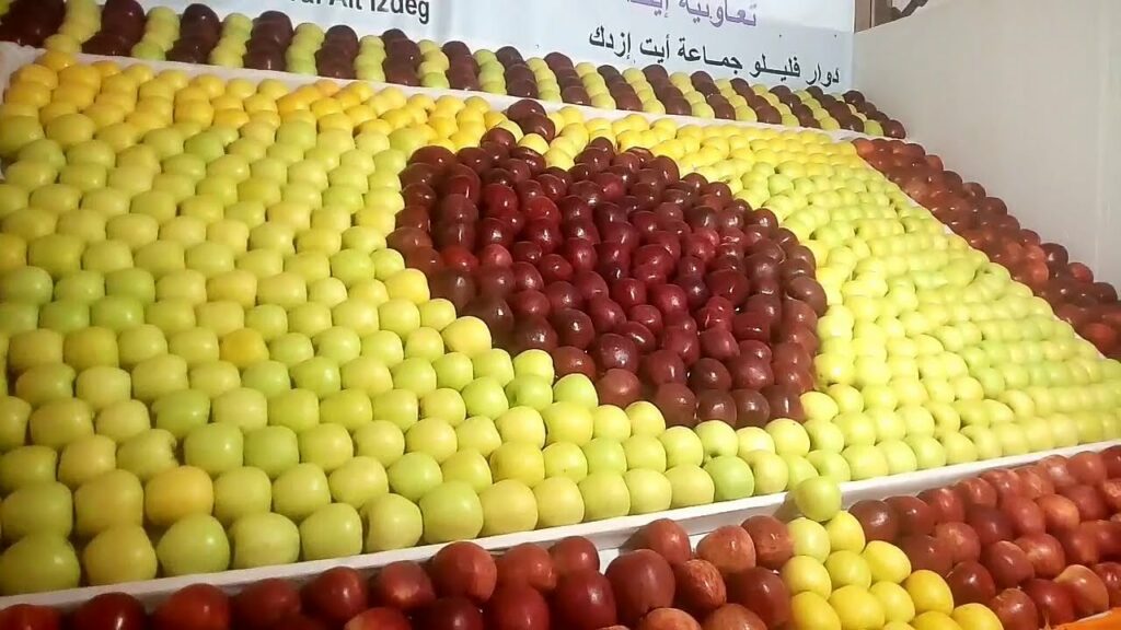 مدينة ميدلت تستعد لاحتضان الملتقى الوطني للتفاح 2022