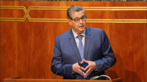 أخنوش : القارة الإفريقية يمكنها أن تستفيد من تجربة المغرب في التغطية الصحية