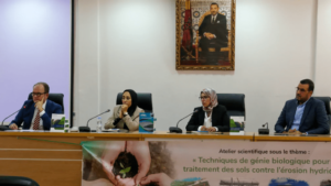 الشركة الوطنية للطرق السيارة تعتمد تقنيات بيولوجية لحماية جنبات الطرق من التعرية