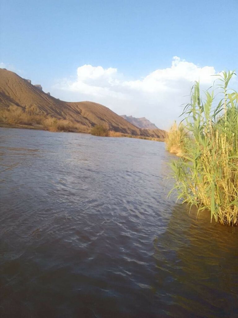 ’’ غول الديبة ’’ تصرع شاب عشريني بإقليم زكورة
