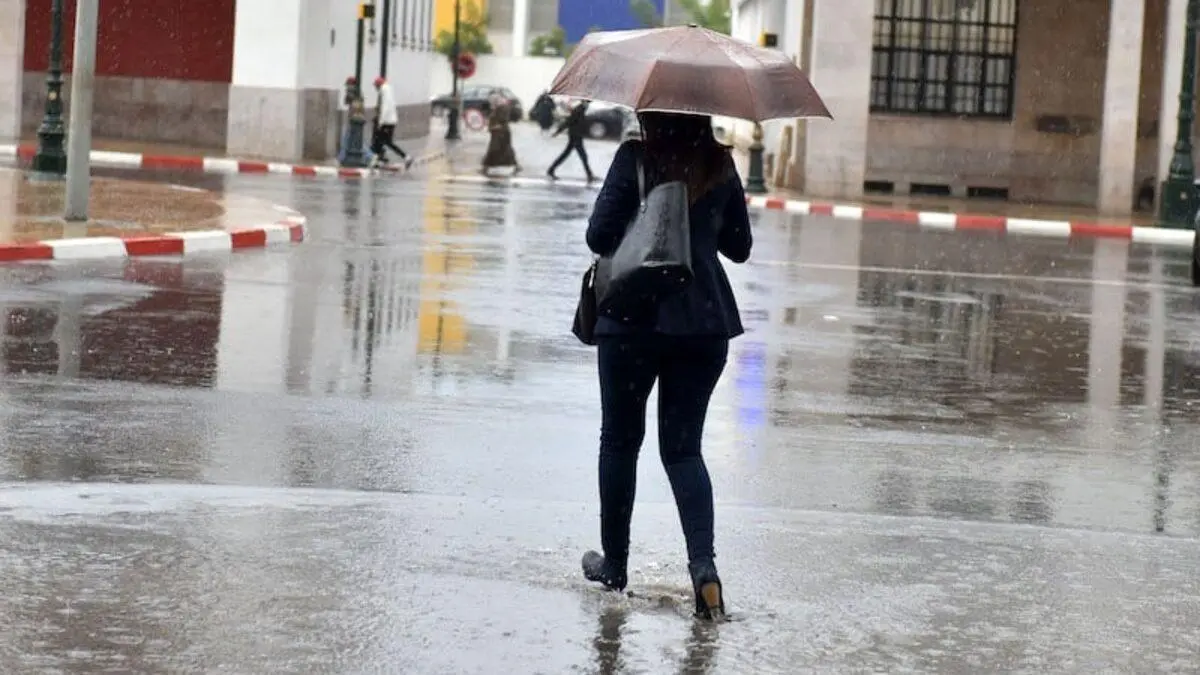 هذه مقاييس التساقطات المطرية المسجلة بالمملكة خلال ال24 ساعة الماضية