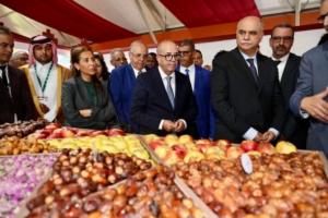 تطوير قطاع النخيل
