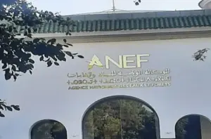 الوكالة