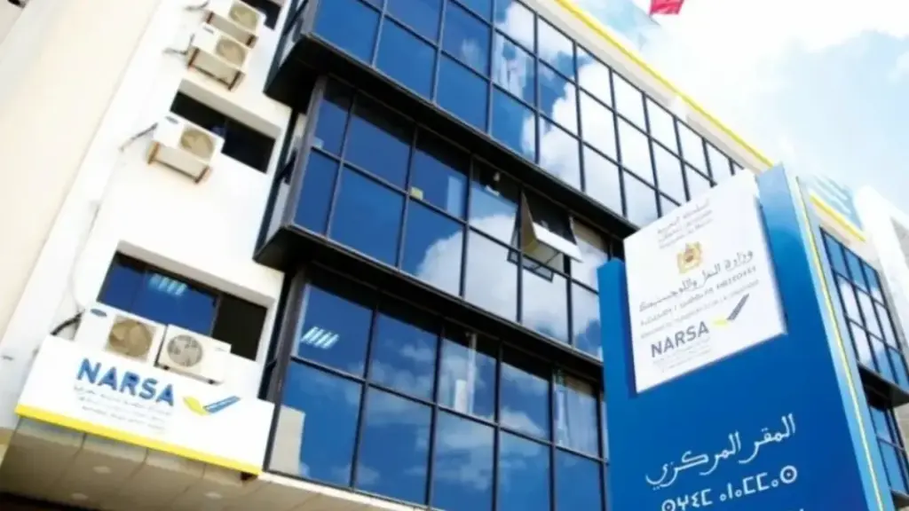موقع إلكتروني مزيف نارسا