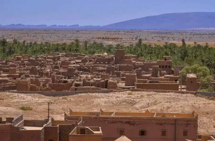 فم ازكيد