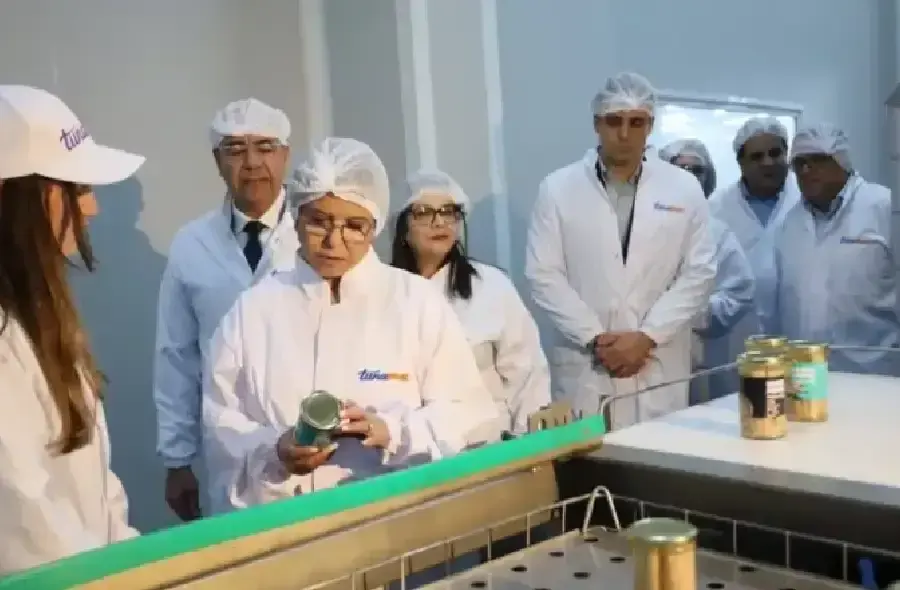 زكية درويش