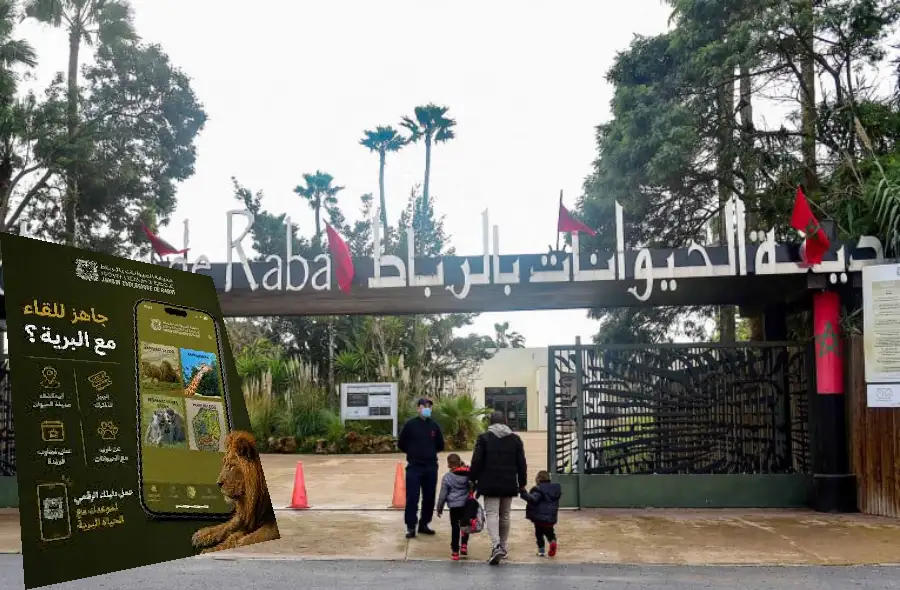 الحديقة الوطنية للحيوانات بالرباط تطلق تطبيقها الهاتفي الجديد