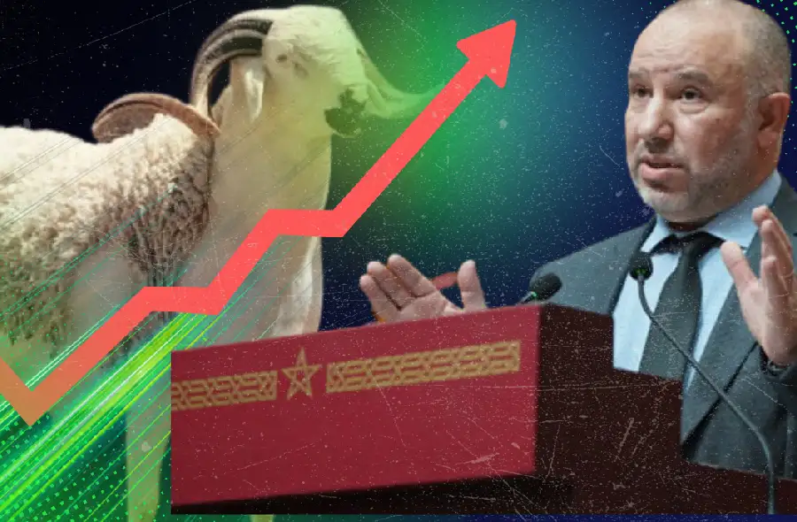 ارتفاع أسعار الأضاحي