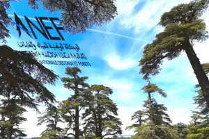 حماية غابات الأرز