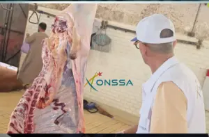 أونسا