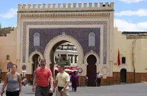 السياجة