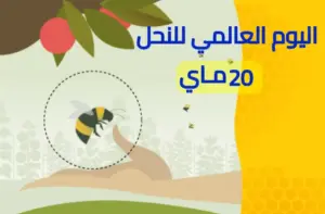 اليوم العالمي للنحل