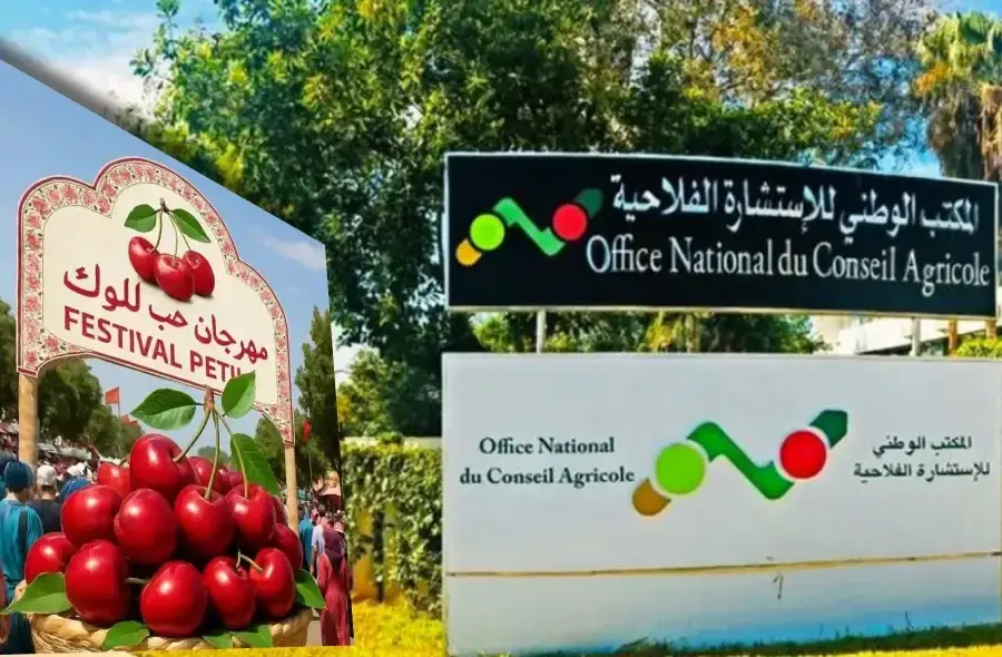 الاستشارة الفلاحية بفاس-مكناس تواكب مهرجان حب الملوك بفضاء تقني لفائدة الفلاحين