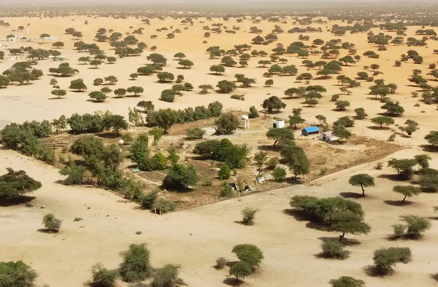 التصحر